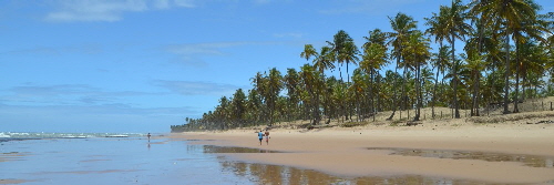 Gruppenreisen Bahia Brasilien 